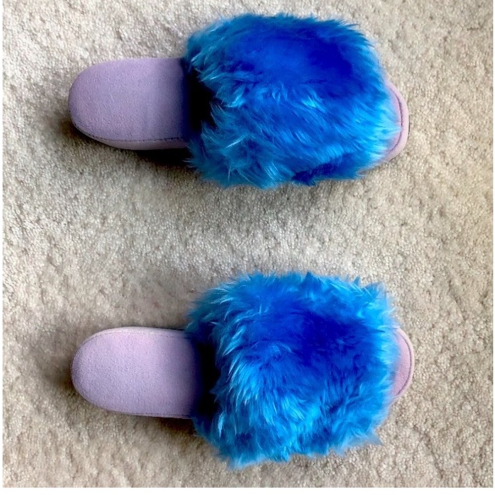Blue Fuzzy Slippers